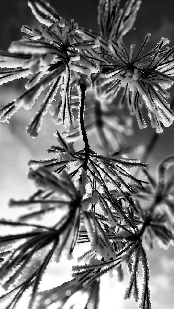 Photograph by Светлана Рубцова