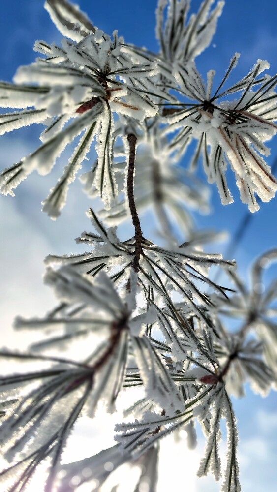 Photograph by Светлана Рубцова