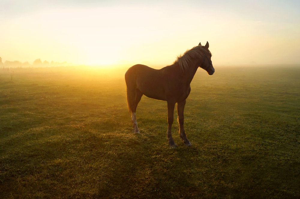 Фотография автора Мишустина Татьяна