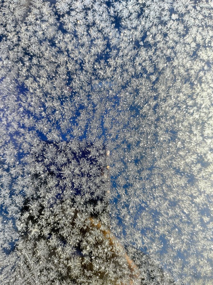 Photograph by Алексей Раимун