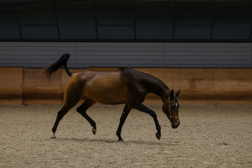 Photograph by Ирешева Мария