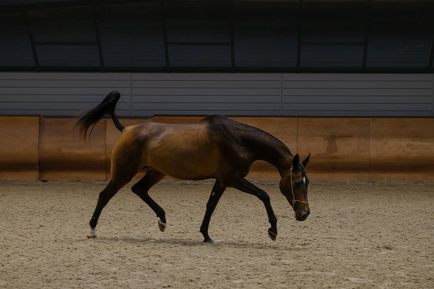 Фотография #13007223