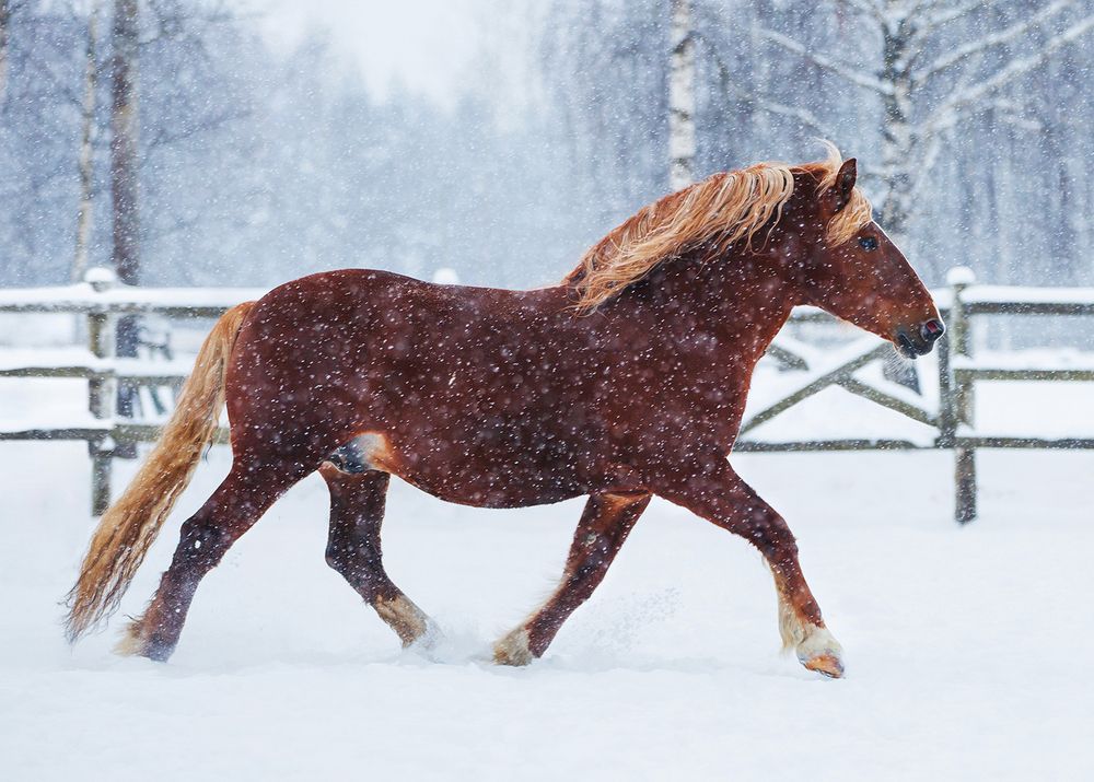 Фотография автора Helena
