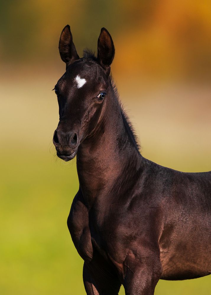 Photograph by Helena