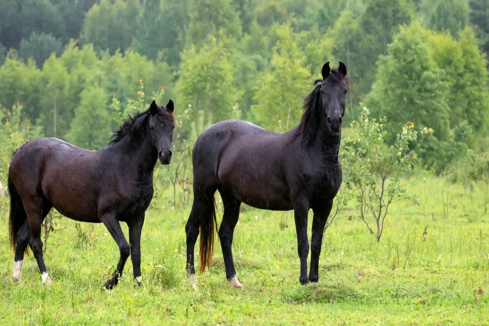 Photograph by Константин Пухов