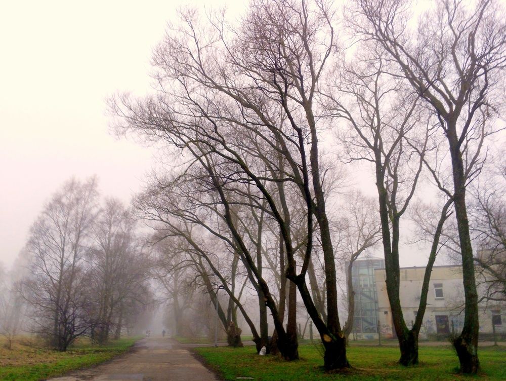 Photo #13007271