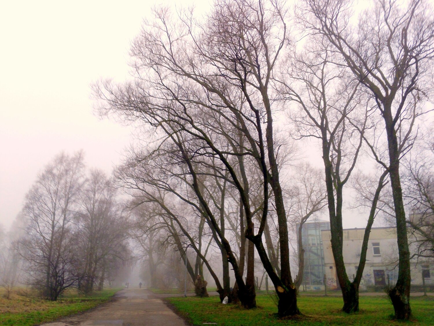 Photo #13007271