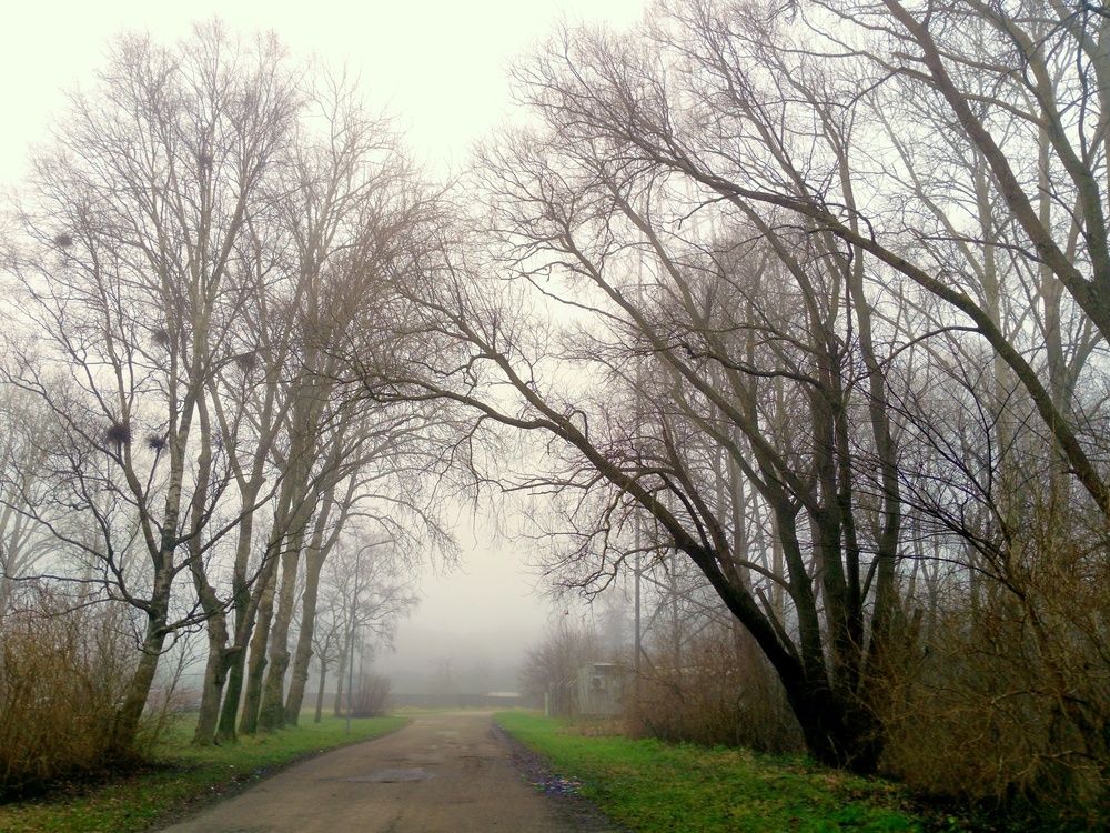 Photo #13007272
