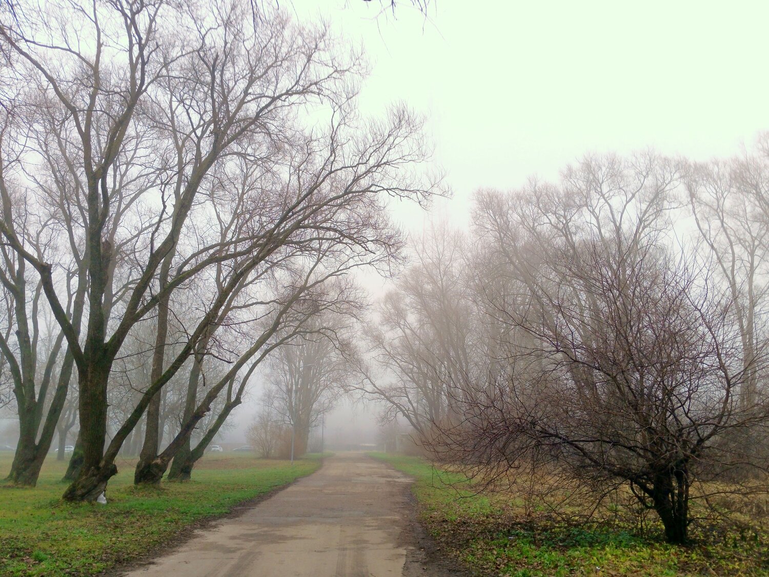 Photo #13007275