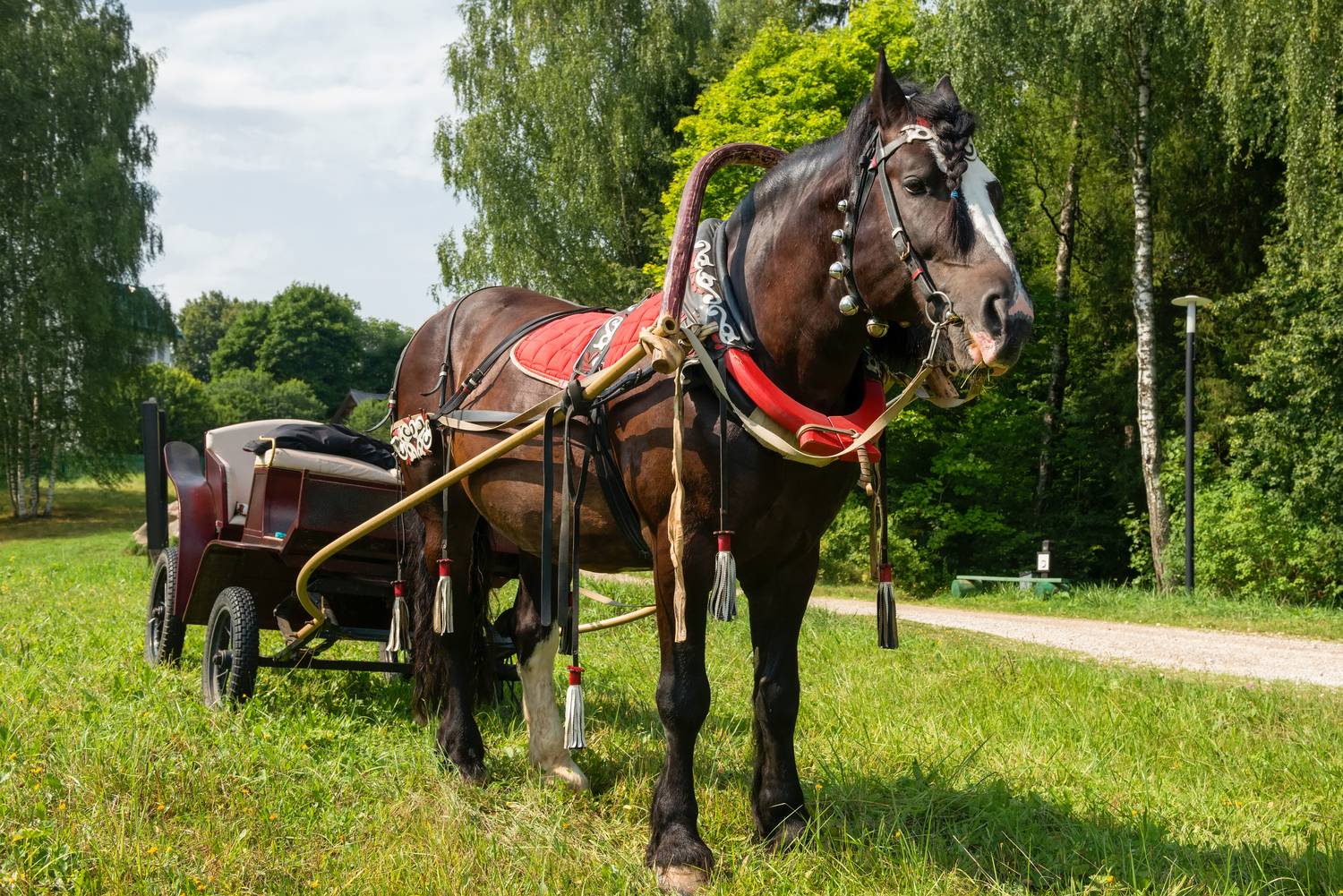 Фотография #13007285