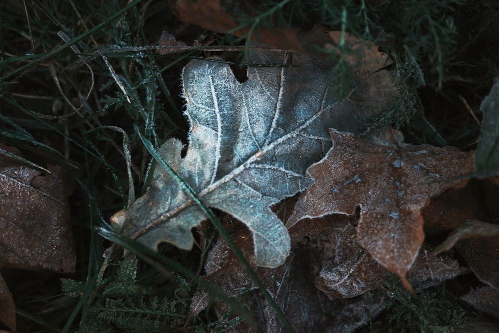 Photograph by Яна Егорова