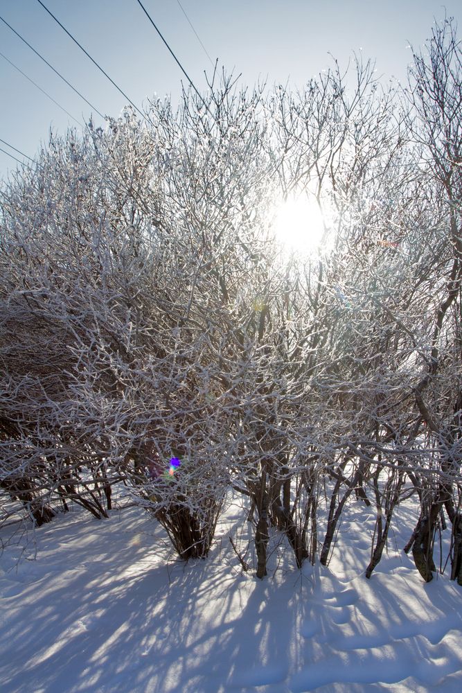 Photograph by Наталья Иванова
