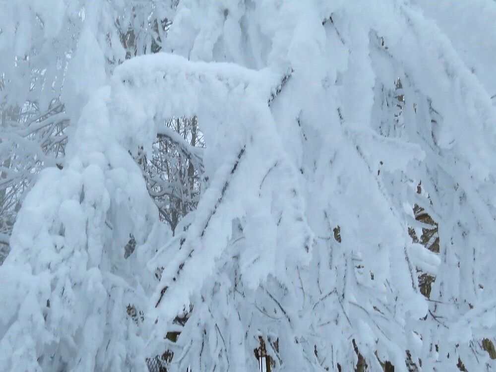 Photograph by Николай Горбачёв