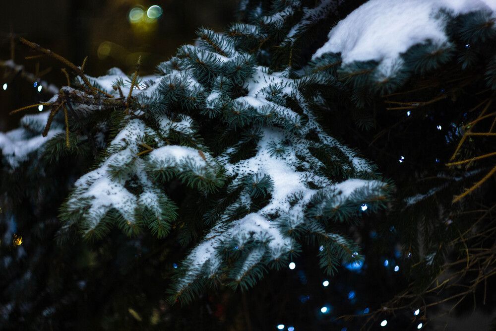 Photograph by Сергей Помелов