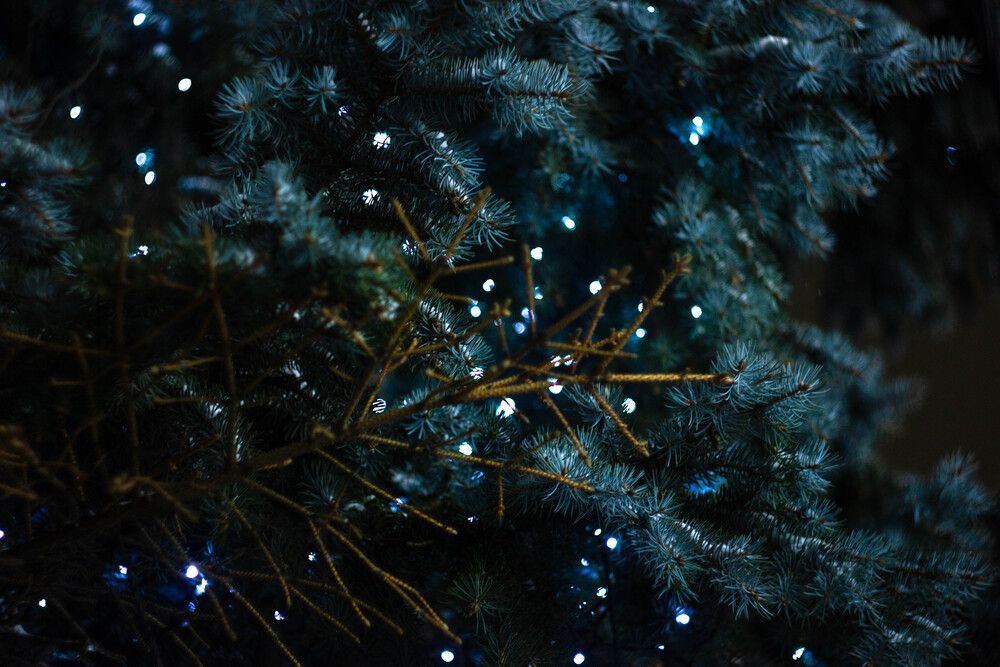Photograph by Сергей Помелов