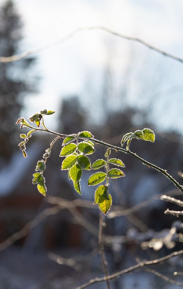 Photograph by Екатерина Одинцова