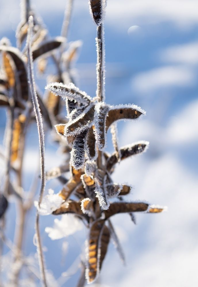 Photograph by Екатерина Одинцова