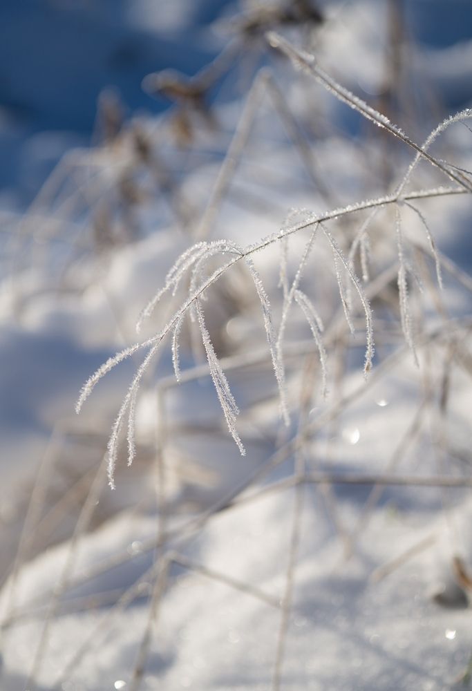 Photograph by Екатерина Одинцова