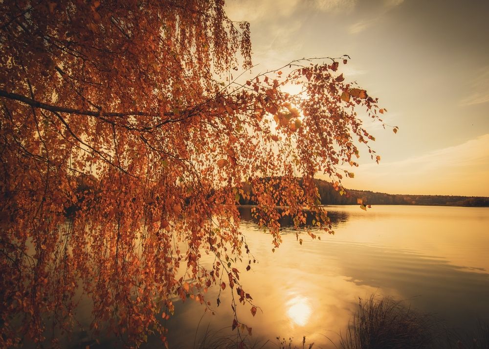 Photograph by Кирилл Сидоров