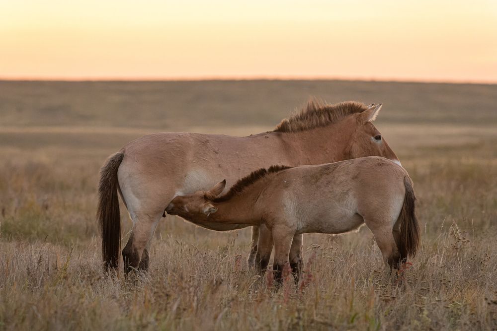 Photograph by Евгения Севрюкова