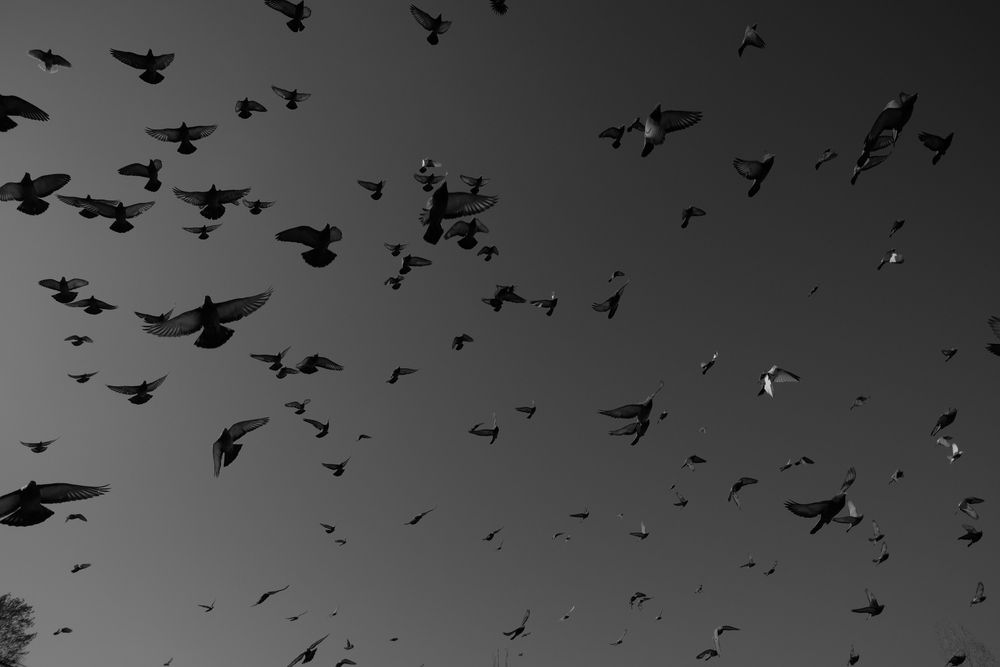 Фотография автора Константин Яковлев