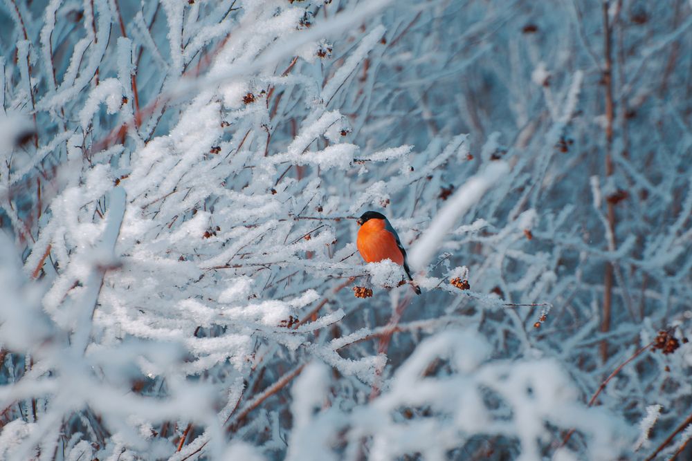 Photograph by Валерия Азамат