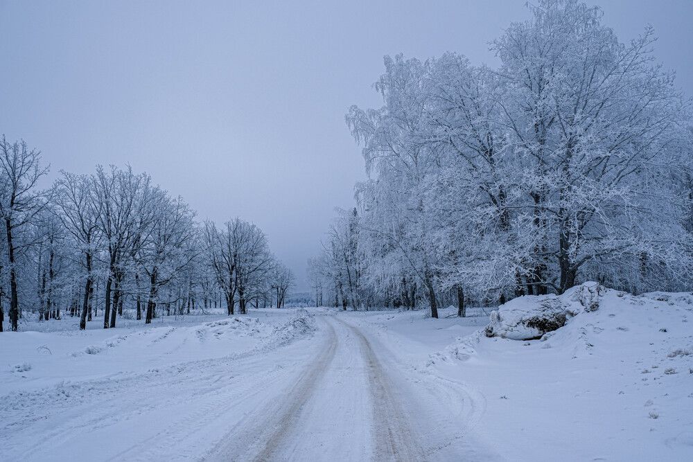 Photograph by Альберт Габбасов