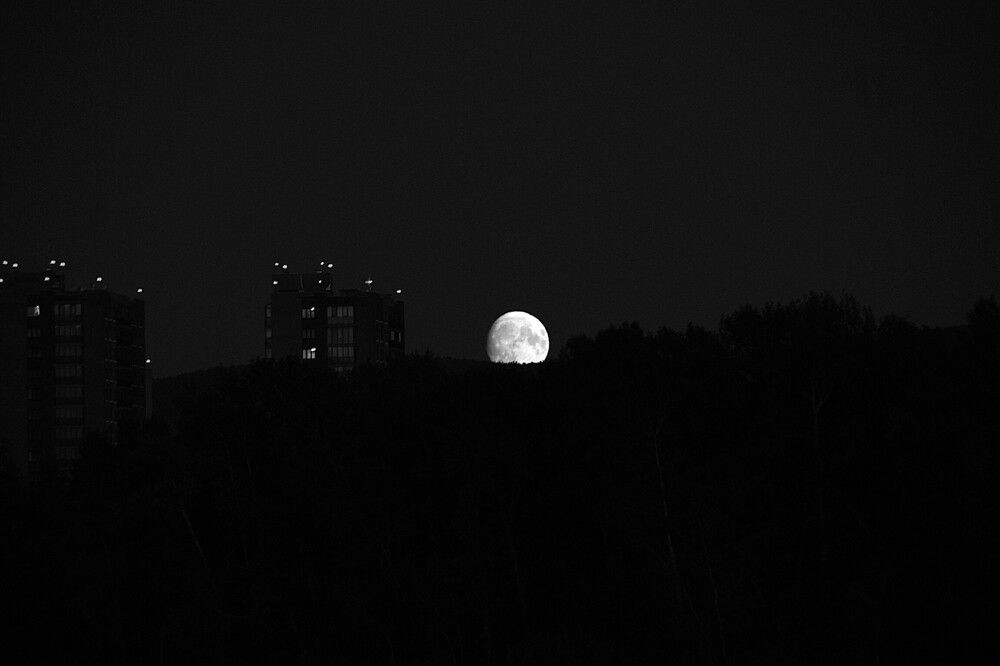 Photograph by Елизавета Корнилова