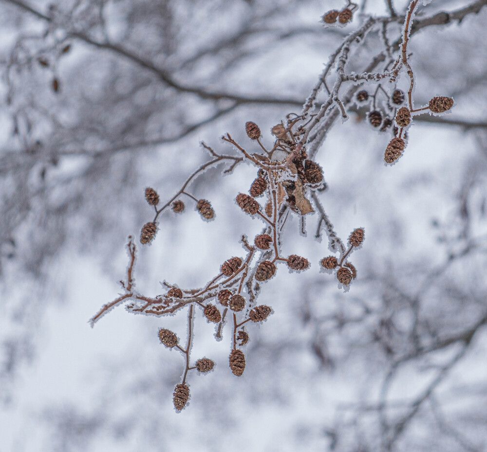 Photograph by Альберт Габбасов