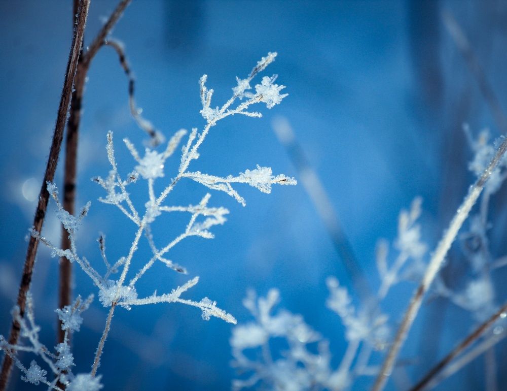 Photograph by Павел Ван