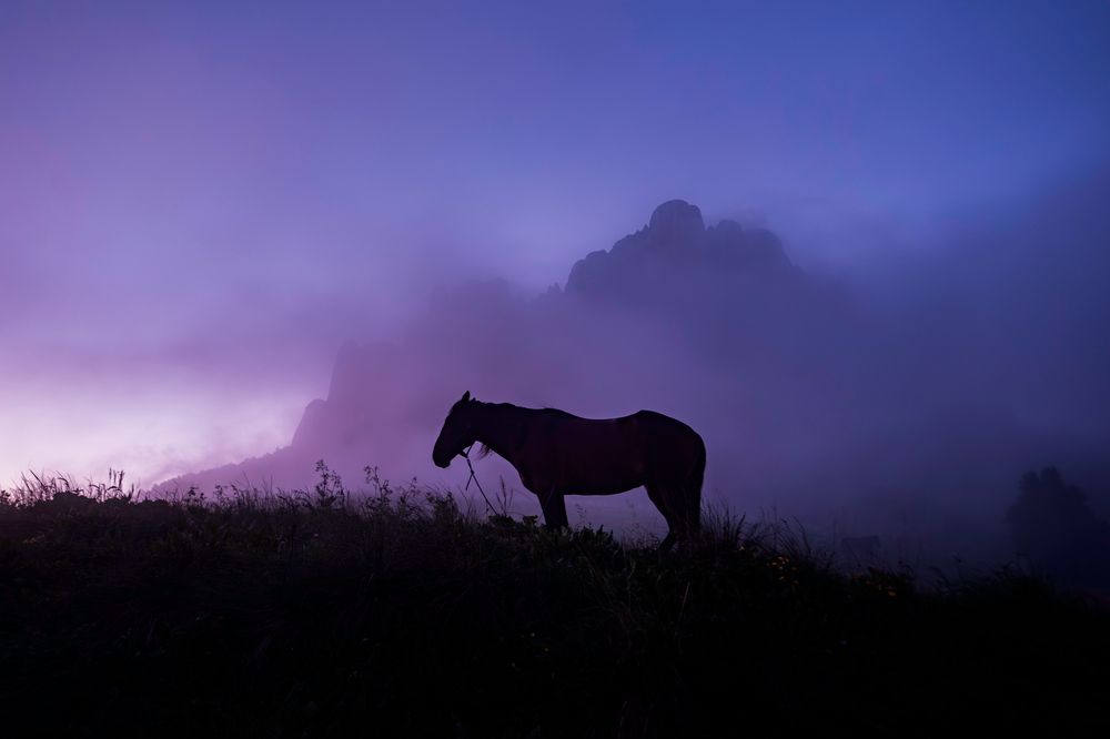 Фотография автора Васильева Дарья