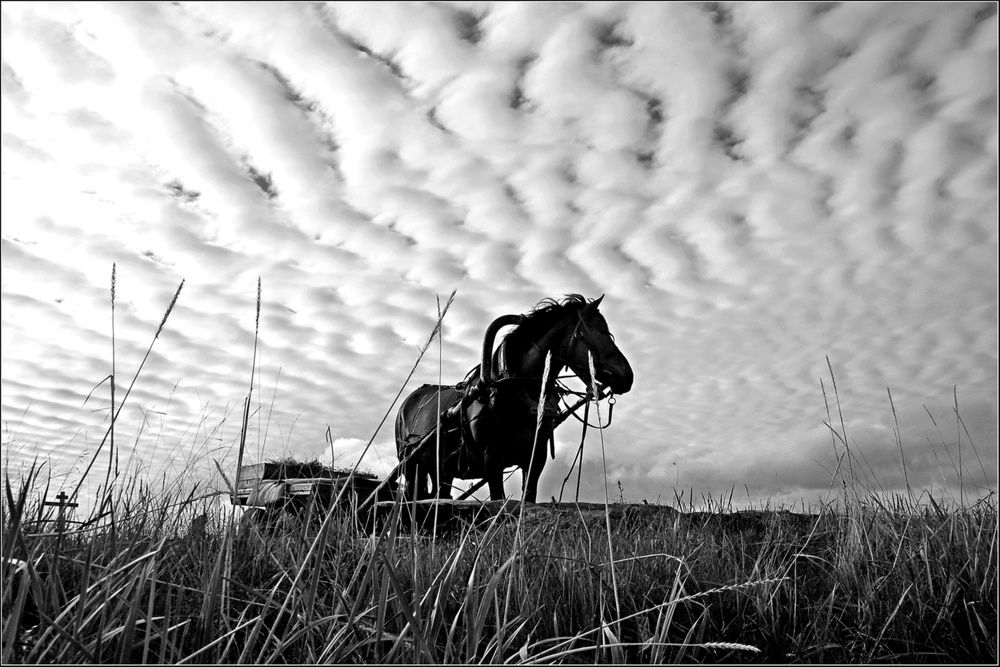 Фотография автора Васильева Дарья