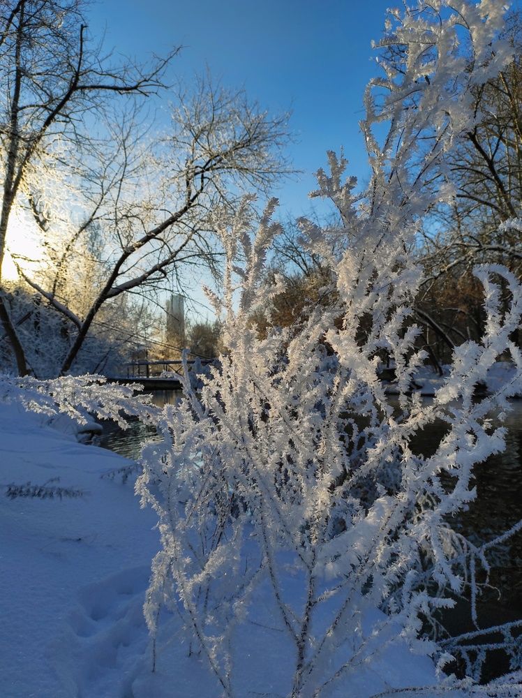 Photograph by Вячеслав Щёголев