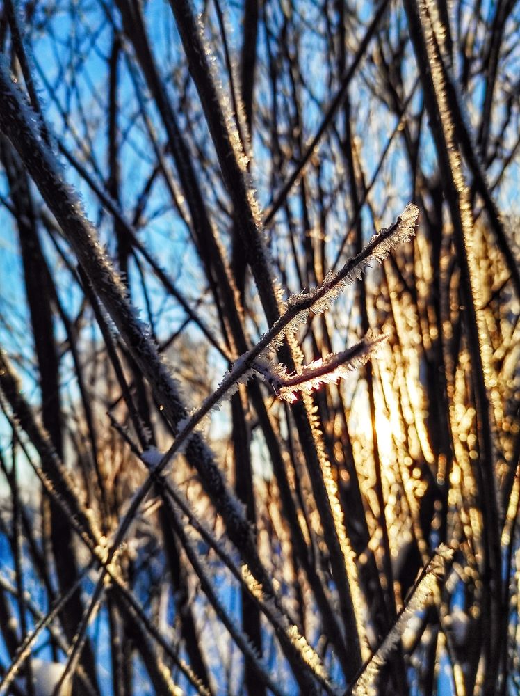 Photograph by Вячеслав Щёголев