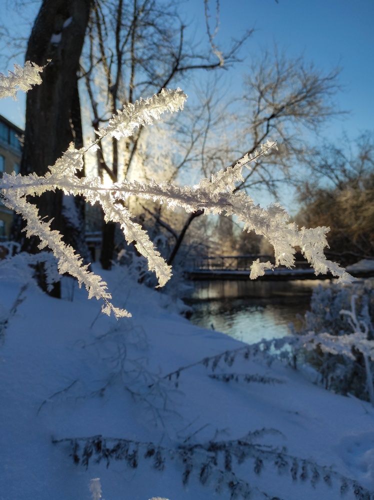 Photograph by Вячеслав Щёголев