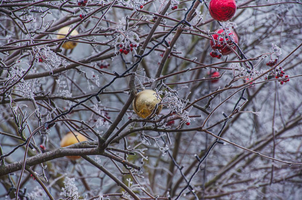 Фотография автора Алексей