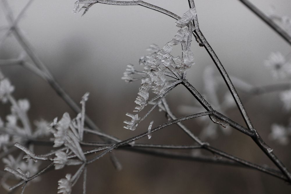 Photograph by Надежда Соболевская