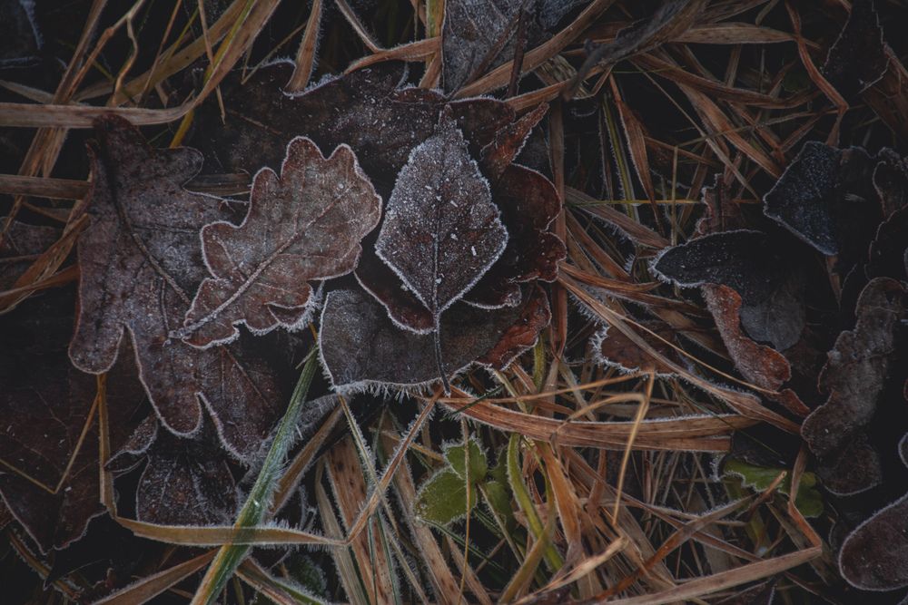 Фотография автора Алексей