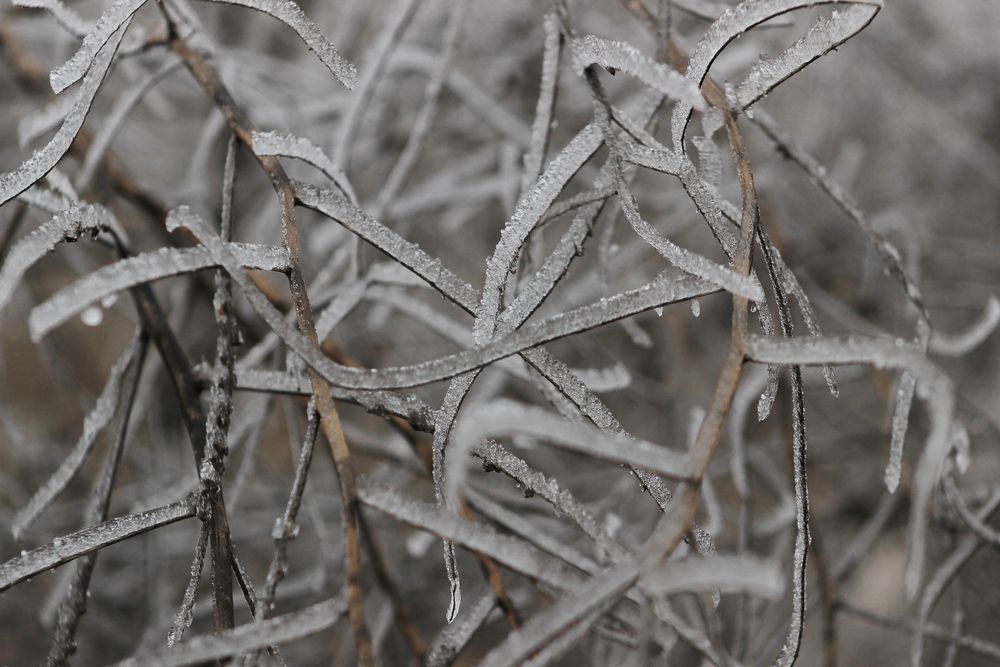 Photograph by Надежда Соболевская