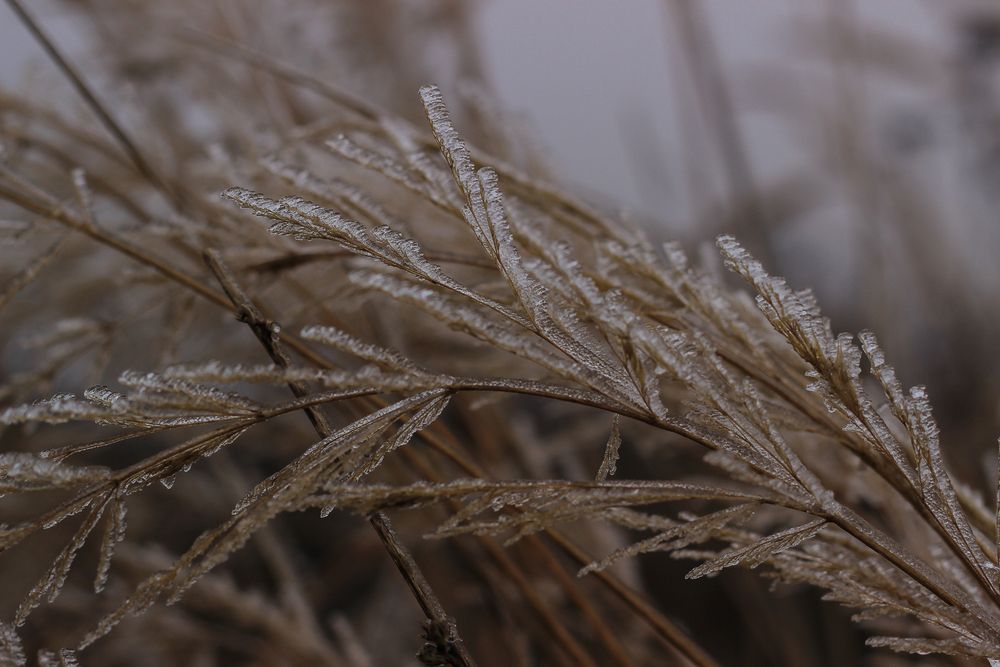 Photograph by Надежда Соболевская