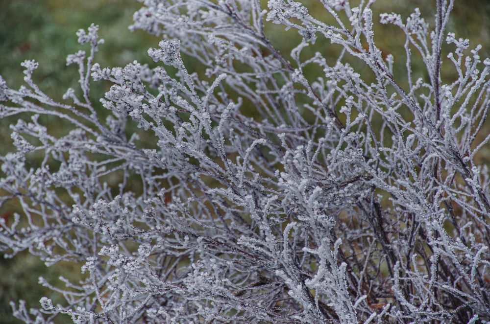 Фотография автора Алексей