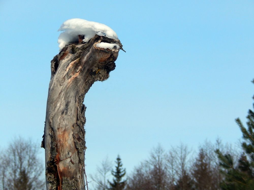 Photograph by Юрий Пучков