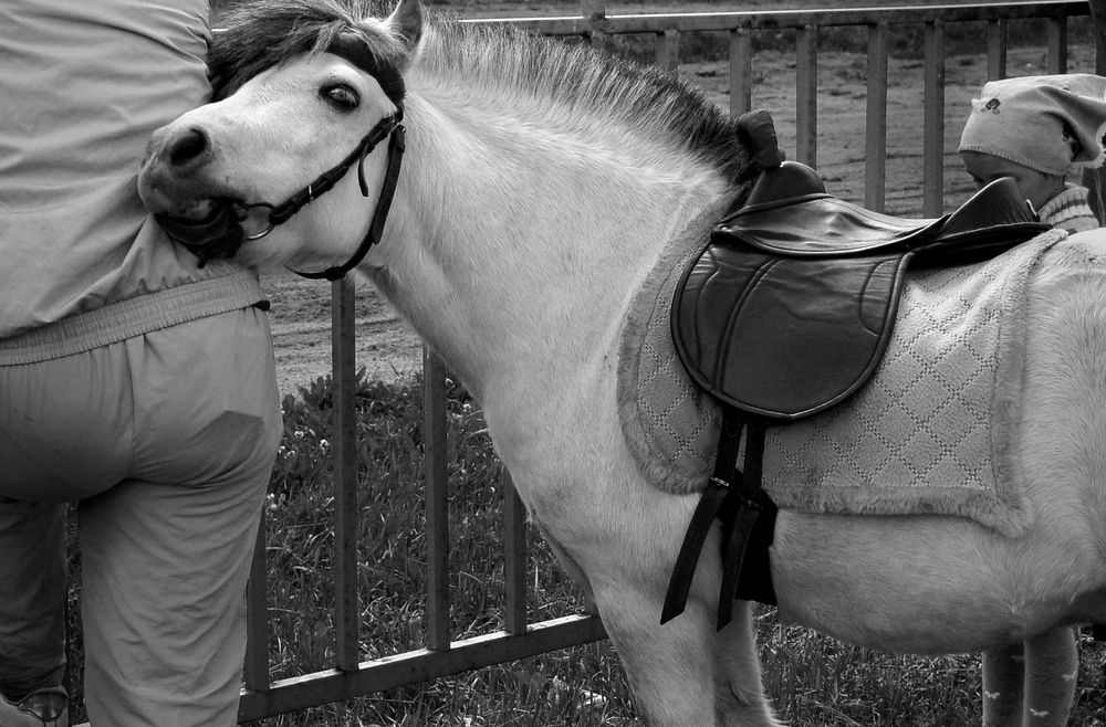 Фотография автора Васильева Дарья