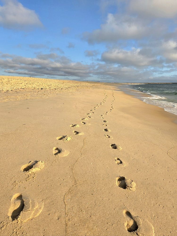 Фотография автора Elena Polonetskaya