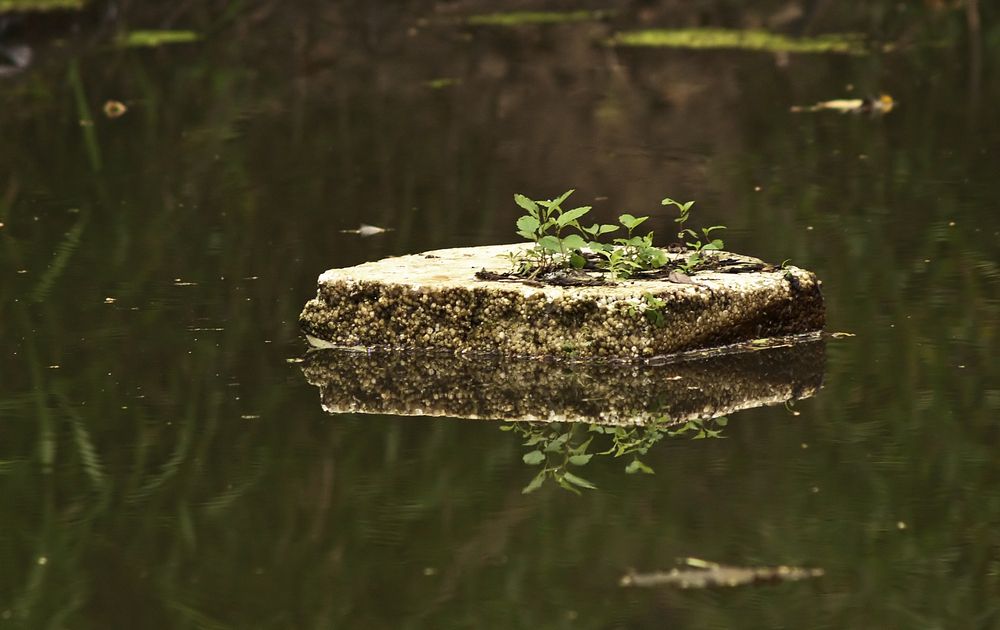 Photograph by Борис Новиков