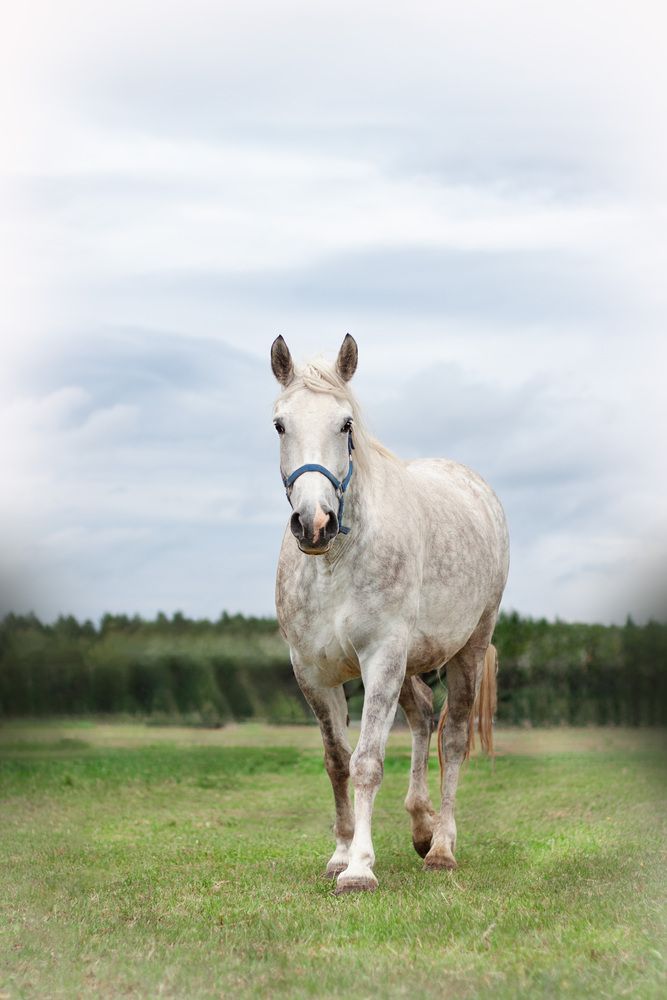 Photograph by Елена Иванова