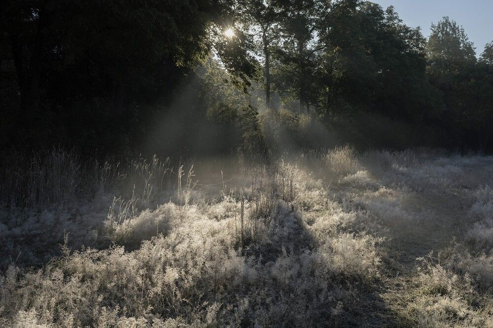 Photograph by Елена Фетисова