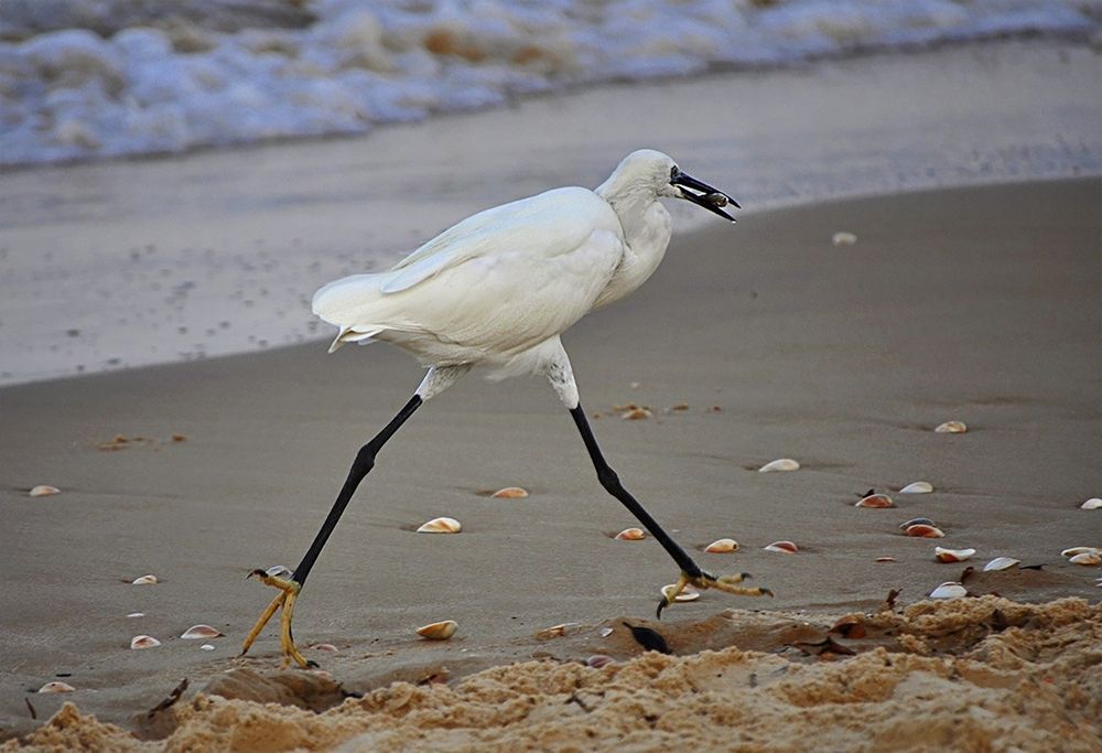 Photograph by yakov vayman