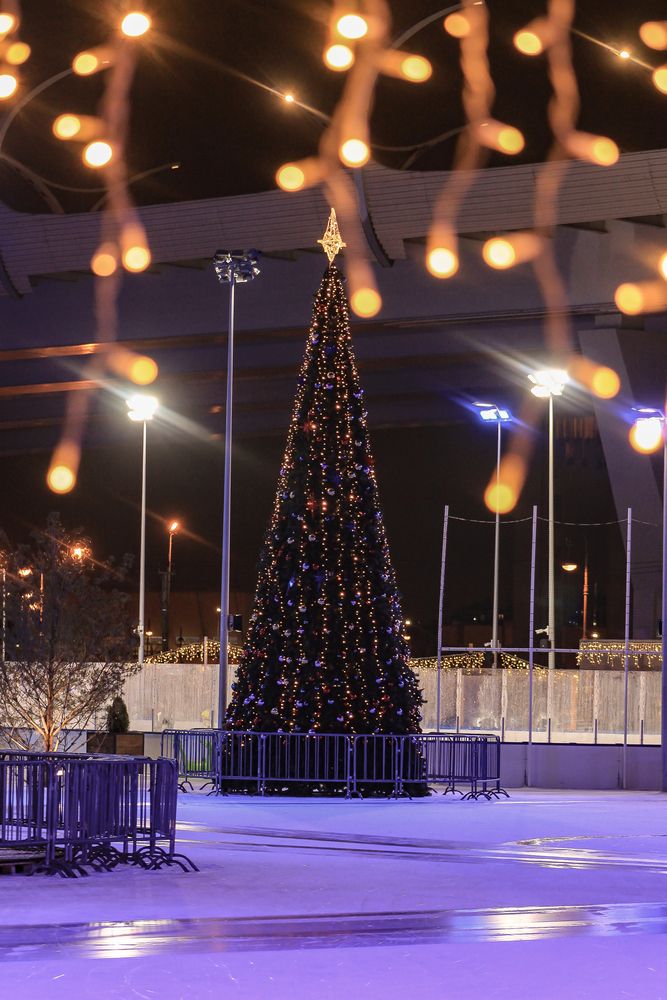 Photograph by Надежда Соболевская