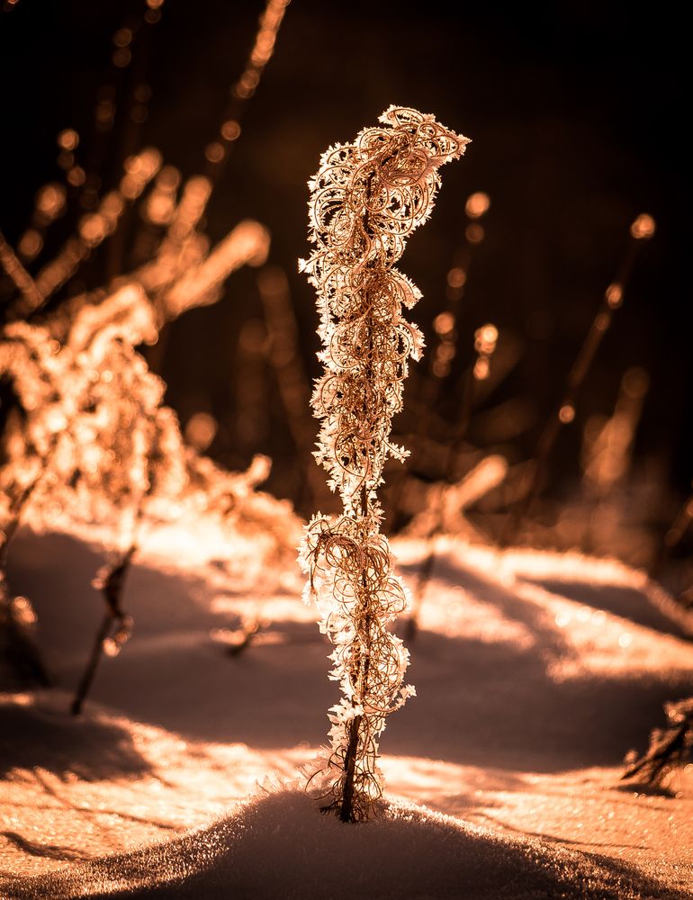 Photograph by Владимир Синцов